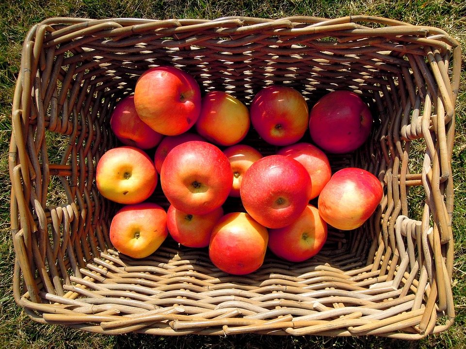 Jablka budou letos zřejmě dražší než mandarinky nebo i banány (ilustrační foto)