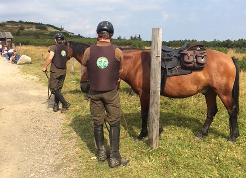 Strážci Krkonošského národního parku se vydávají na pochůzky také na koních