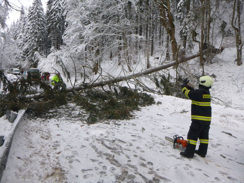Těžký a mokrý sníh spolu s větrem na východě Čech láme stromy a větve