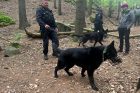Jičínští policejní psovodi trénují před hlavní turistickou sezónou v Prachovských skalách