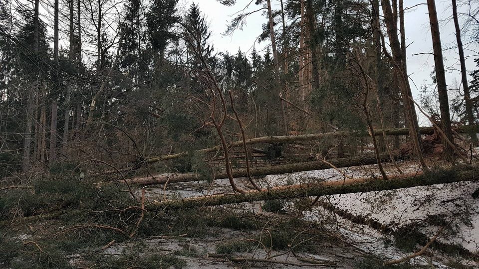 Hasiči kvůli větru zasahovali celý víkend - Náchodsko