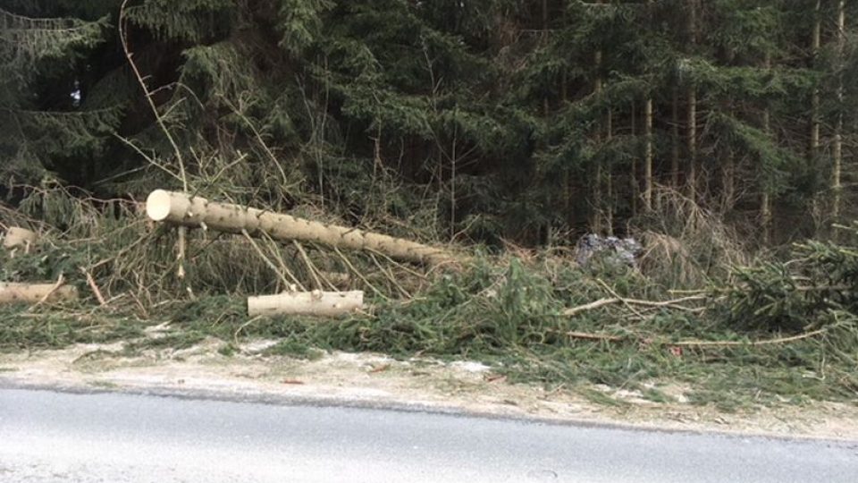 Lesníci začali odstraňovat škody po víkendové vichřici v okolí Deštného v Orlických horách