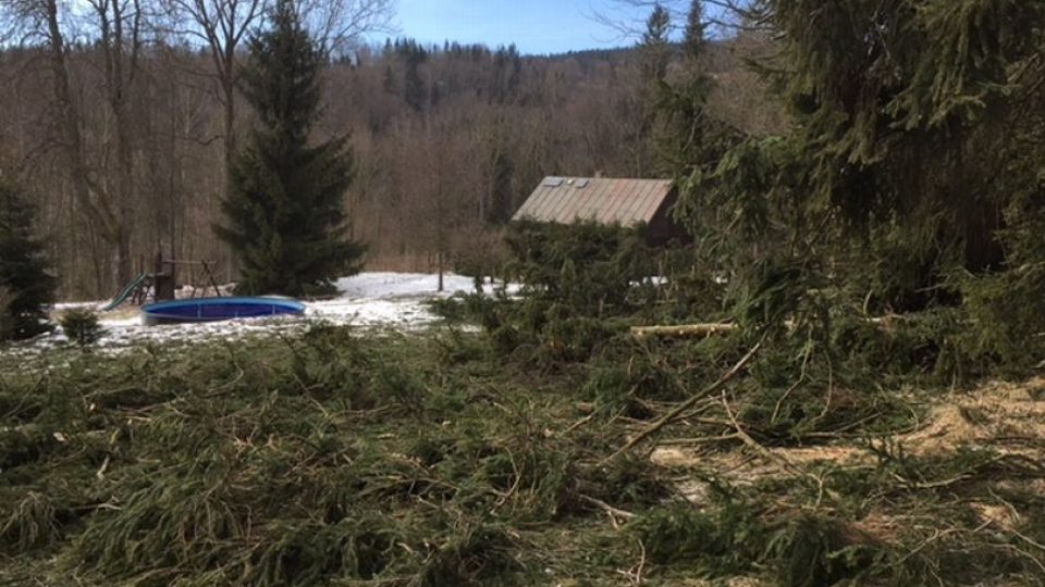 Lesníci začali odstraňovat škody po víkendové vichřici v okolí Deštného v Orlických horách