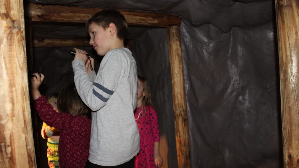 Sýpka - Muzeum Orlických hor v Rokytnici nad Orlicí - hledání netopýrů