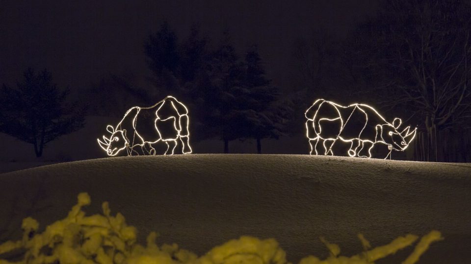 Vánoční zoo ve Dvoře Králové