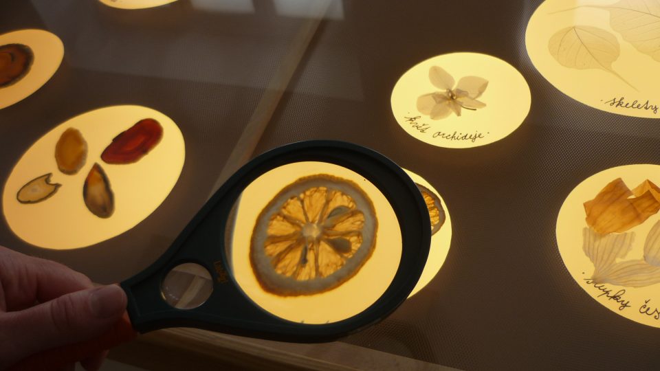 Interaktivní výstava Mikro - Makro v Muzeu Pod čepicí v Hronově