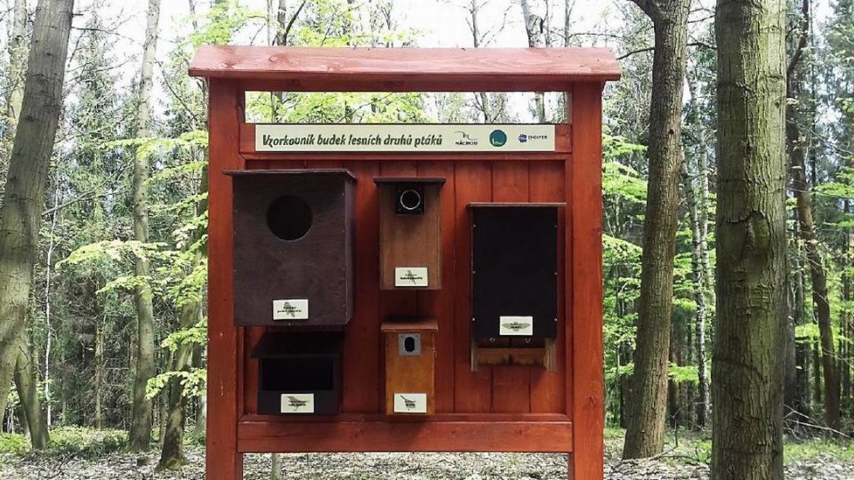 V lesoparku Montace byla vybudována první část naučné stezky - zastávka budky