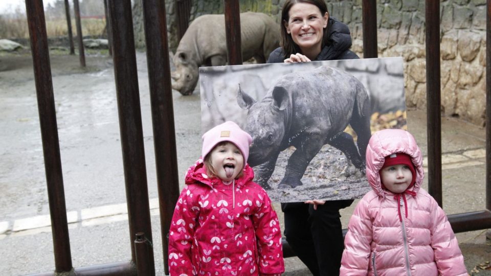 Emilka je nové jméno pro mládě nosorožce dvourohého