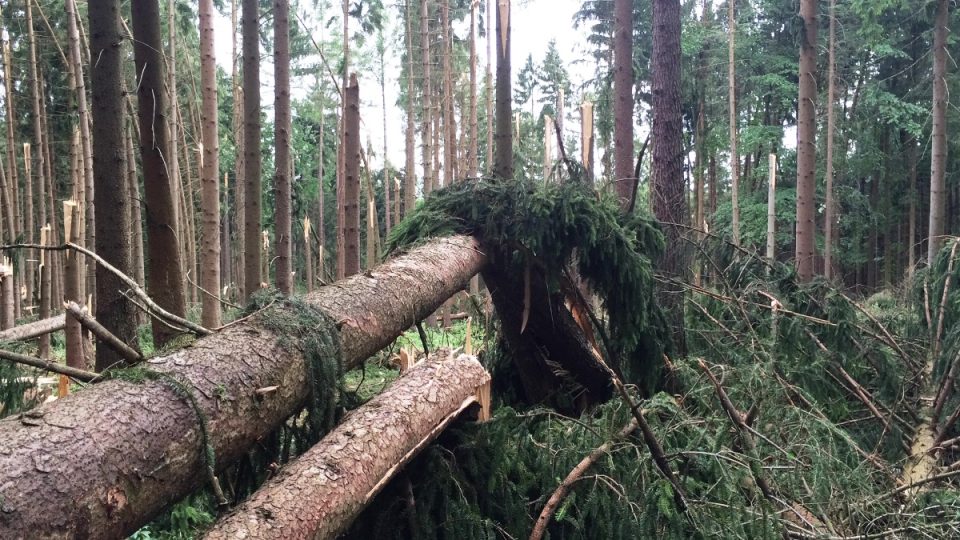 Lesy na Orlickoústecku poničila bouře. Lesníci odklízejí popadané stromy a sčítají škody