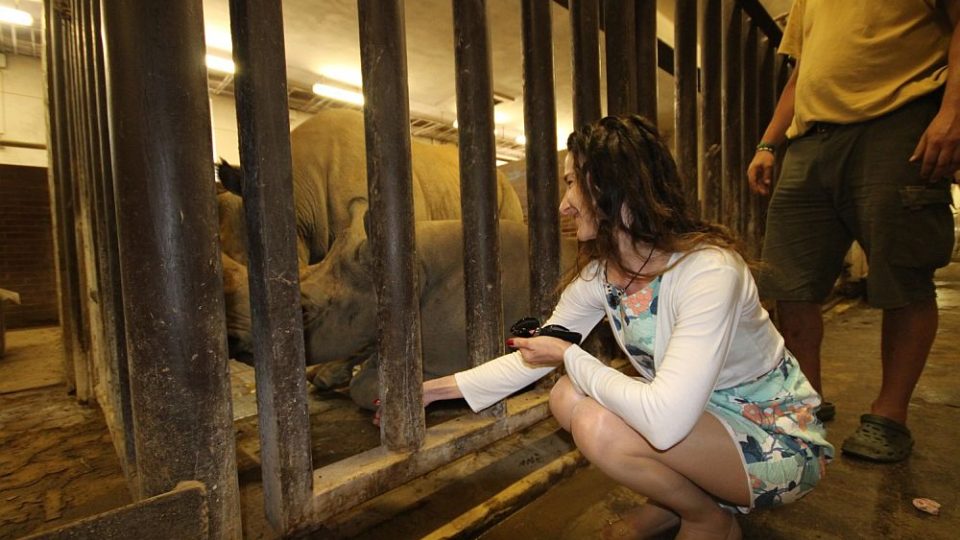 V pátek 17. července 2015 navštívila britská velvyslankyně v České republice Jan Thompson ZOO Dvůr Králové. Cílem její cesty do ZOO byla návštěva Elišky, samice nosorožce černého.