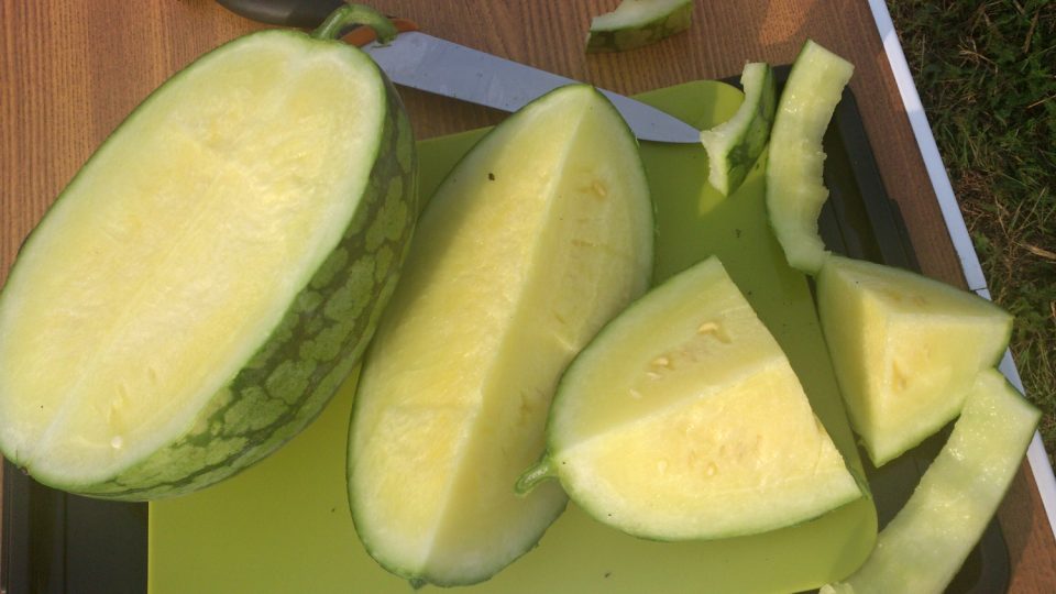 Melouny s bílou dužinou mají osvěžující chuť | foto: Jitka Slezáková, Český rozhlas Melouny s bílou dužinou mají osvěžující chuť