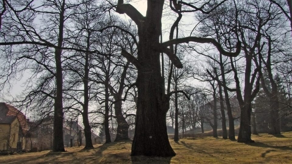 Nasavrky Kaštanka Nasavrky Kaštanka