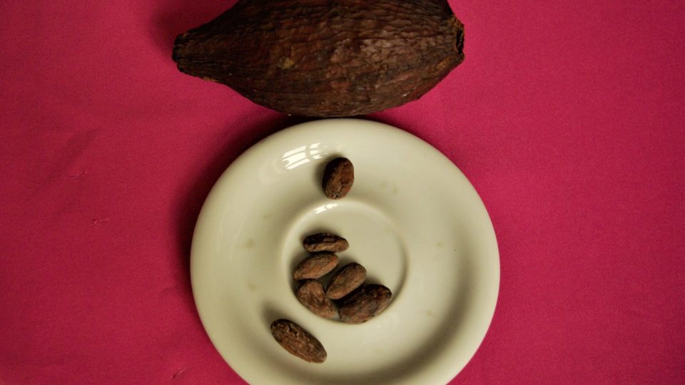 Kakaový bob a kakaová zrna
