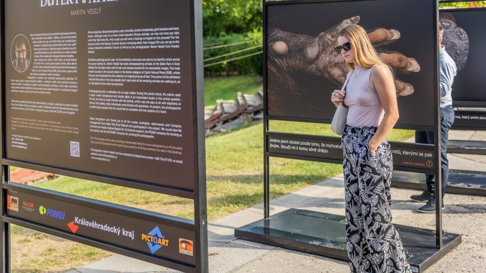 Tlapy a tlapky na výstavě Doteky Afriky v Safari Parku Dvůr Králové