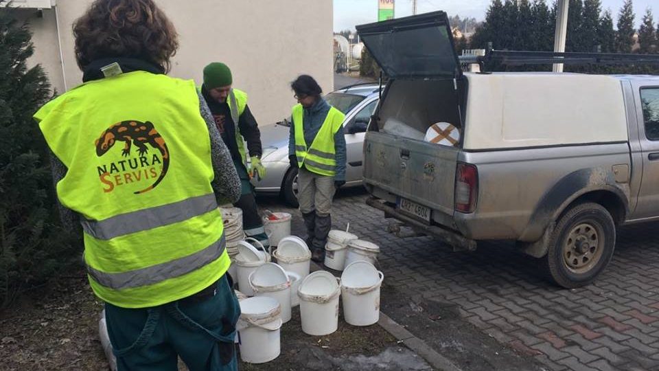 V blízkosti rybníka Čermák u Červeného Kostelce na Náchodsku se bariéry staví už od roku 2006