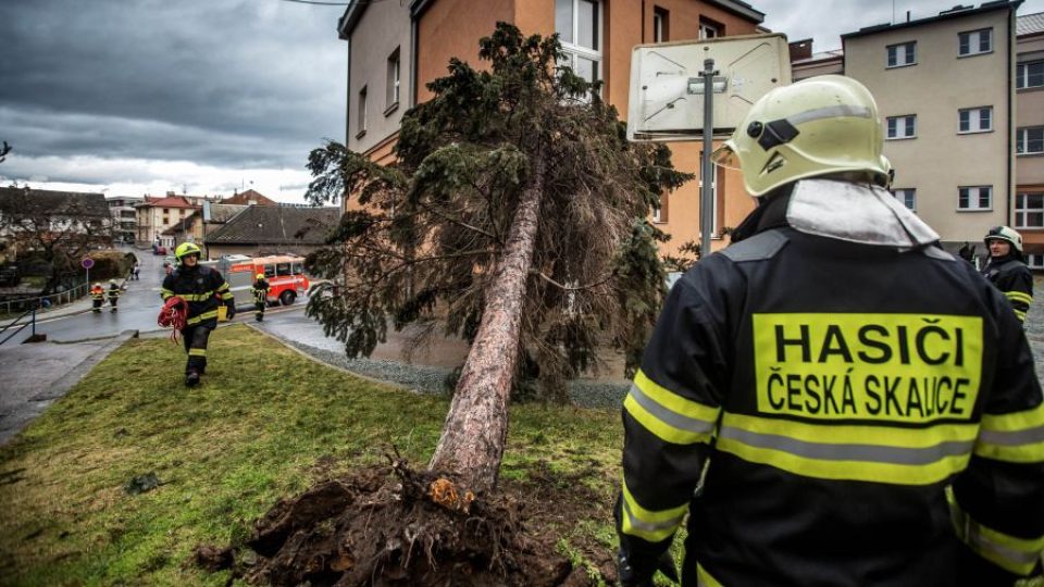 Odstraňování následků bouře Sabine v Královéhradeckém kraji