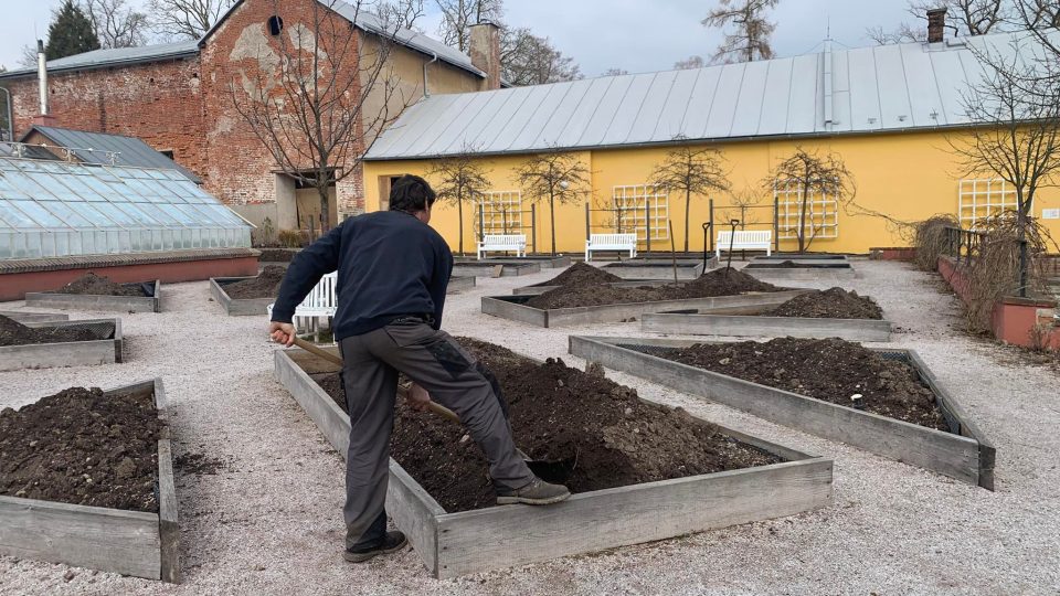 V Domově svatého Josefa v Žirči začala obnova vyhlášené bylinkové zahrady