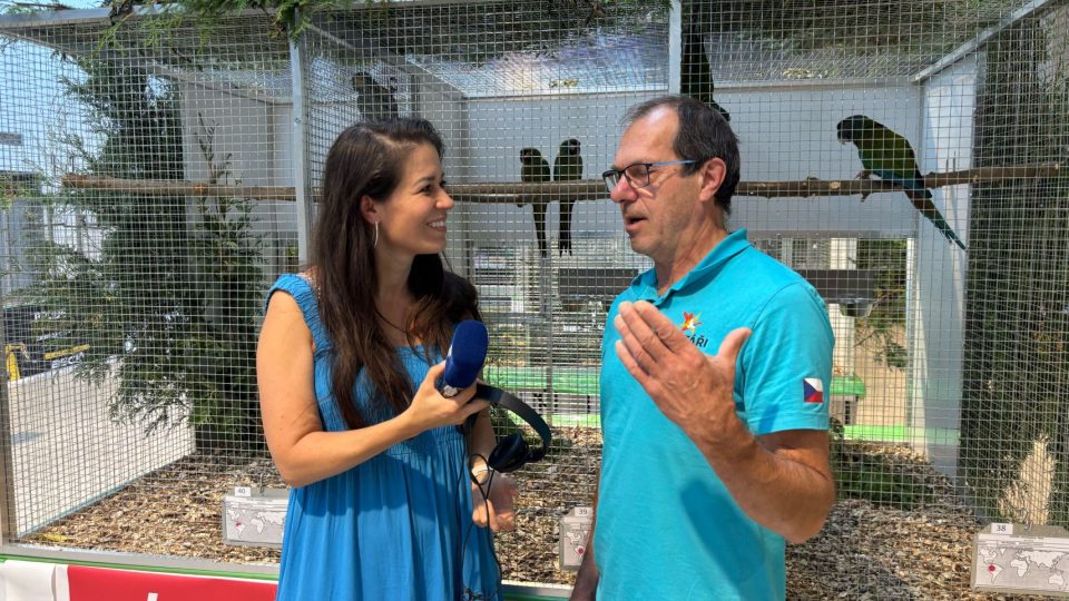 Výstava exotického ptactva se konala v Hradci Králové