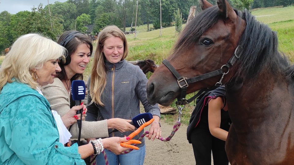 Rozhlasový přímý přenos z farmy Hucul Janova Hora