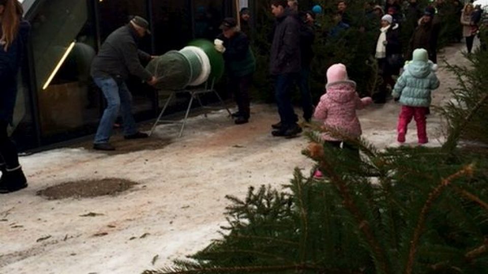Krkonošský národní park i letos nabídl lidem vánoční stromky s certifikátem
