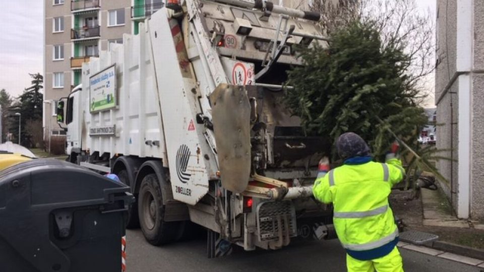 Hradecké technické služby odklízí použité vánoční stromky