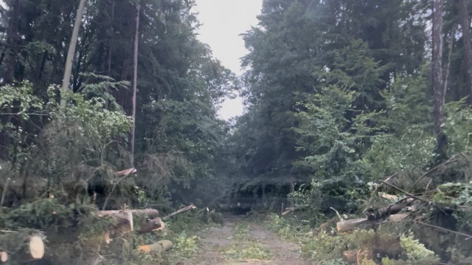 Bouře v Královéhradeckém kraji lámala stromy, hasiči měli 120 výjezdů