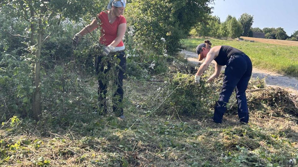 Do Ptačího parku Josefovské louky na Náchodsku přijeli pracovat dobrovolníci z celého Česka | foto: Václav Plecháček, Český rozhlas Do Ptačího parku Josefovské louky na Náchodsku přijeli pracovat dobrovolníci z celého Česka
