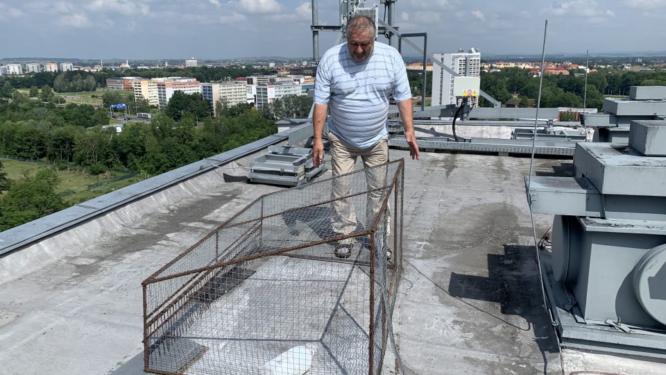 Lumír Štěpán instaluje odchytovou klec na holuby na střeše jednoho z domů v Hradci Králové