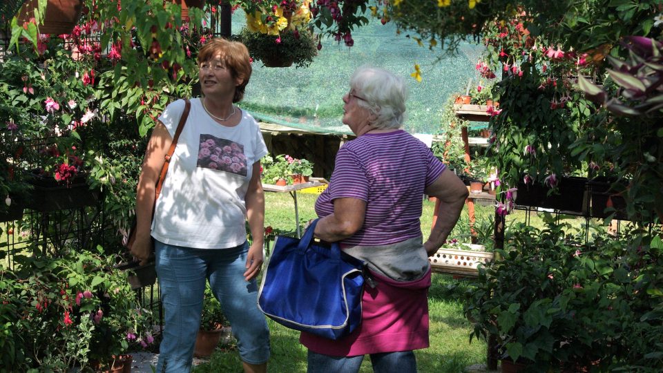 Návštěvníci v zahradě u Květinové chaloupky Suchardů mají pořád co obdivovat