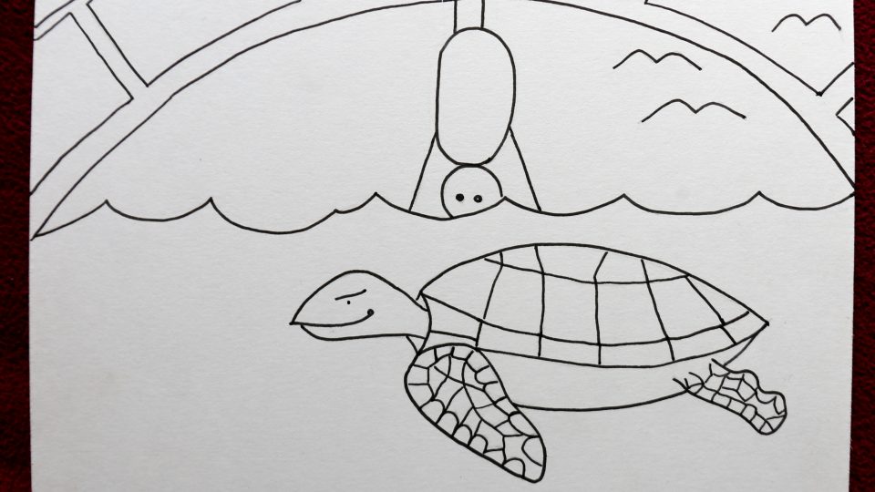 Nejrychlejší želva