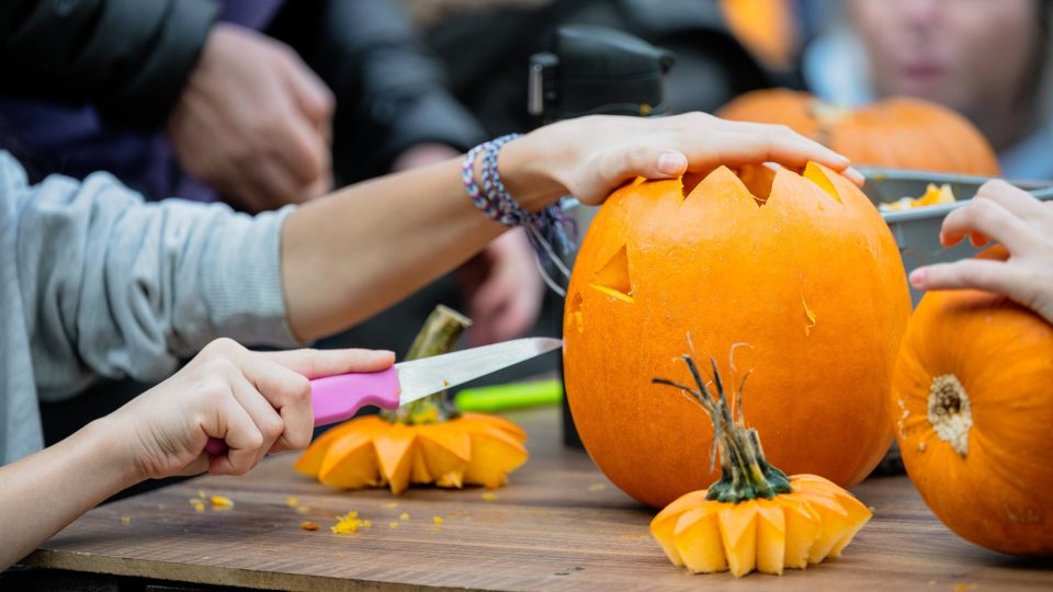 Týden duchů ve dvorském safari parku! Výpravy do světa afrických duchů a bájí i zajímavosti o zvířatech | foto: Helena Hubáčková, Safari Park Dvůr Králové Týden duchů ve dvorském safari parku! Výpravy do světa afrických duchů a bájí i zajímavosti o zvířatech