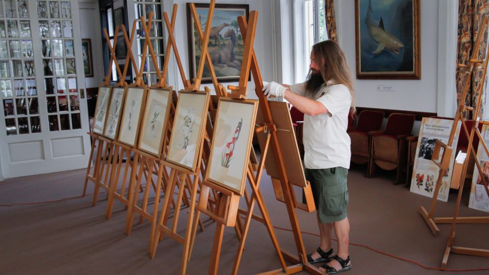 Kresby slavné opavské rodačky Joy Adamsonové vystavuje dvorský safari park