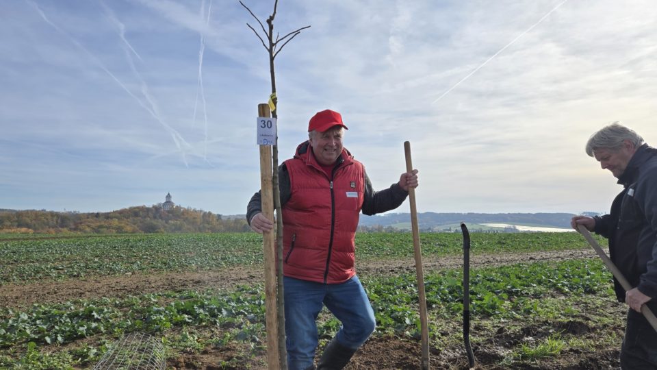 Ze sázení | foto: Vladislava Wildová, Český rozhlas Ze sázení