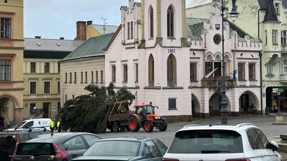 Trutnov už má vánoční strom pro Krakonošovo náměstí