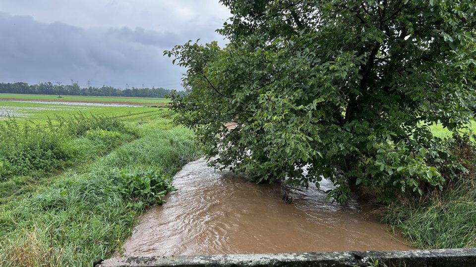 Potok Melounka se v Plotištích na okraji Hradce Králové už čtyřikrát za letošní léto vylil z břehů