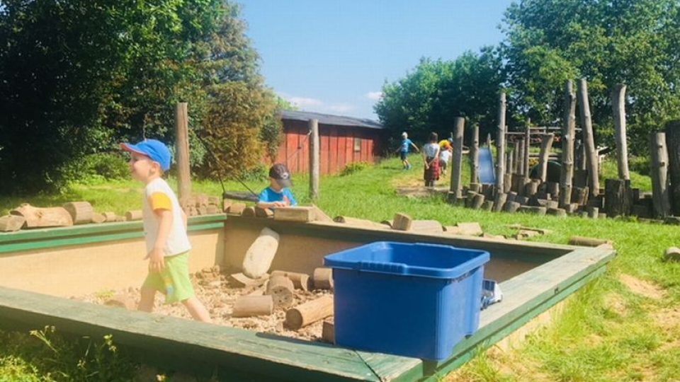 Děti z mateřské školy Lipnice u Dvora Králové si pěstují na vlastní zahrádce jahody a bylinky