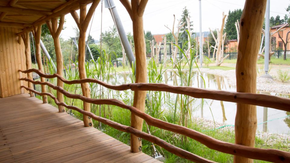 Plameňáky hledejte je v Safari Parku Dvůr Králové v novém areálu poblíž správní vily