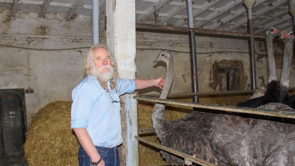 Majitel pštrosí farmy v Moravci Bohumil Prudík