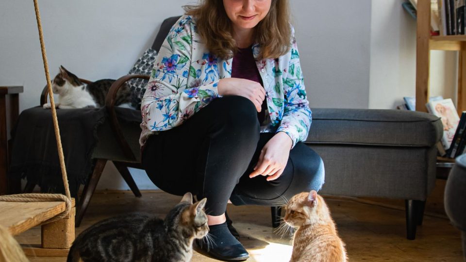 Kočky s koťaty v kočičí kavárně Pelíšek
