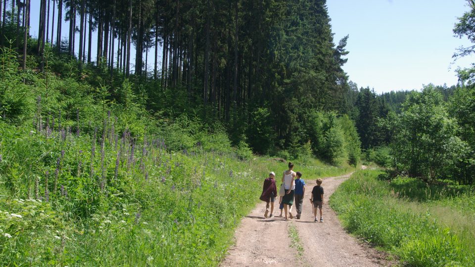 Romantická a poučná procházka lesem v Zadní Ždírnici
