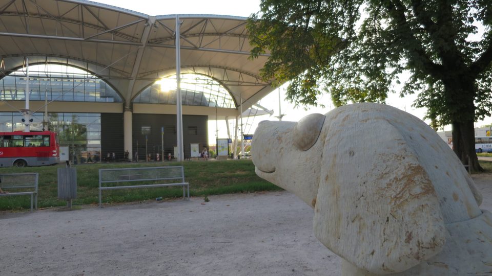 Kamenný jezevčík našel domov u dopravního terminálu v Hradci Králové