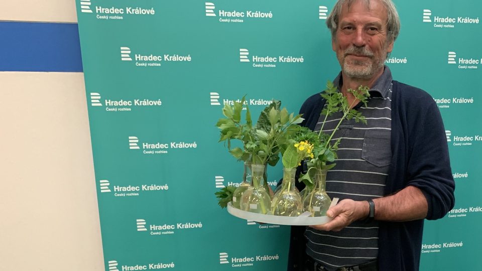Zahradník a botanik hospitálu Kuks Jiří Pirner přinesl do rozhlasového studia spoustu bylinek