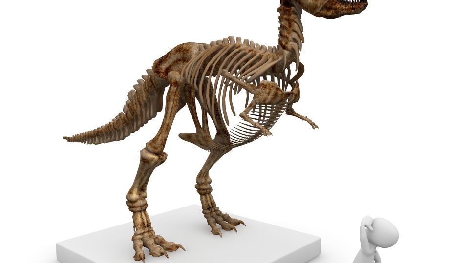 Kostra dinosaura v porovnání s člověkem (vizualizace)
