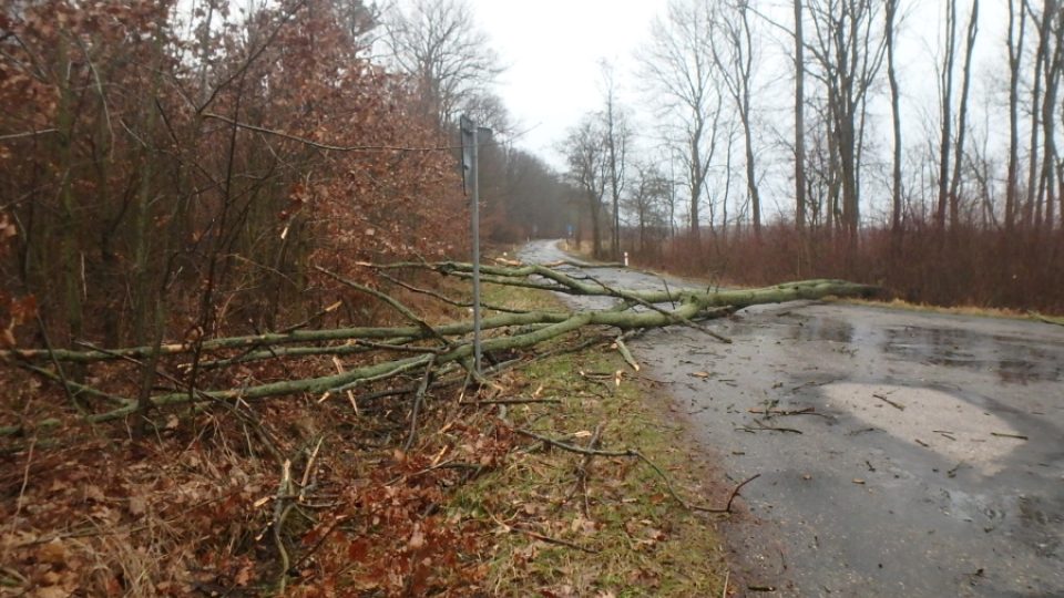 Hasiči v Královéhradeckém kraji odstraňovali následky bouře Sabine