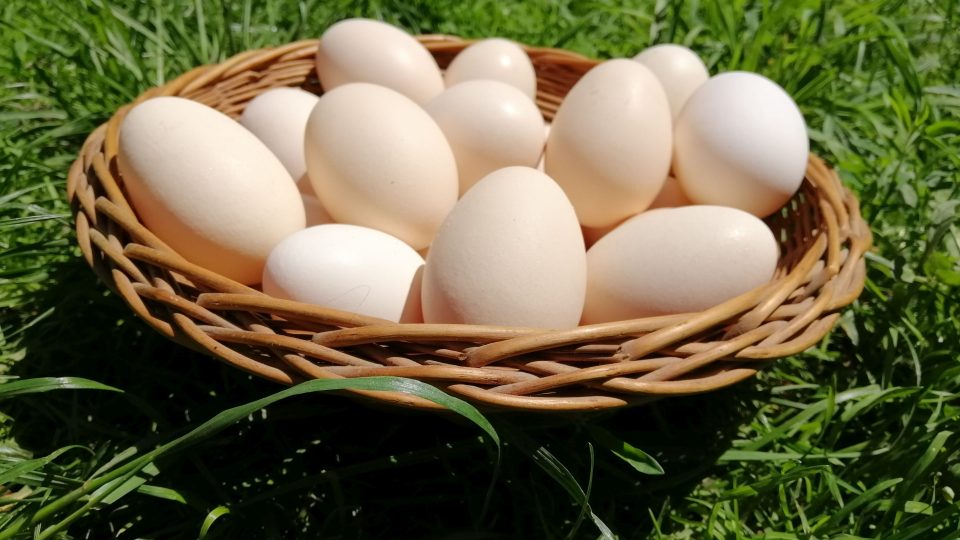 I vajíčka se najdou na rodinné kozí farmě v Podkrkonoší