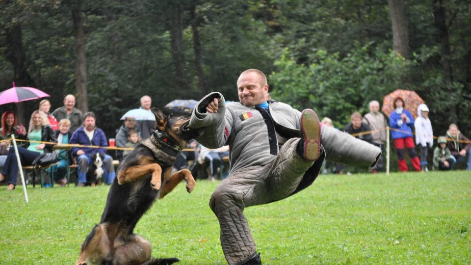Policejní pes při ukázce zásahu