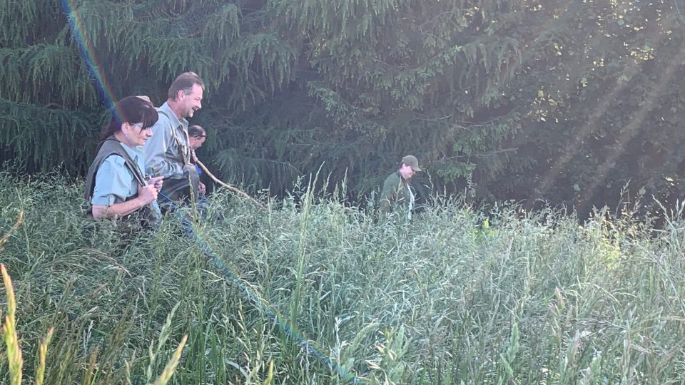 Na Náchodsku se sešli dobrovolníci, aby zachránili srnčata z vysoké trávy