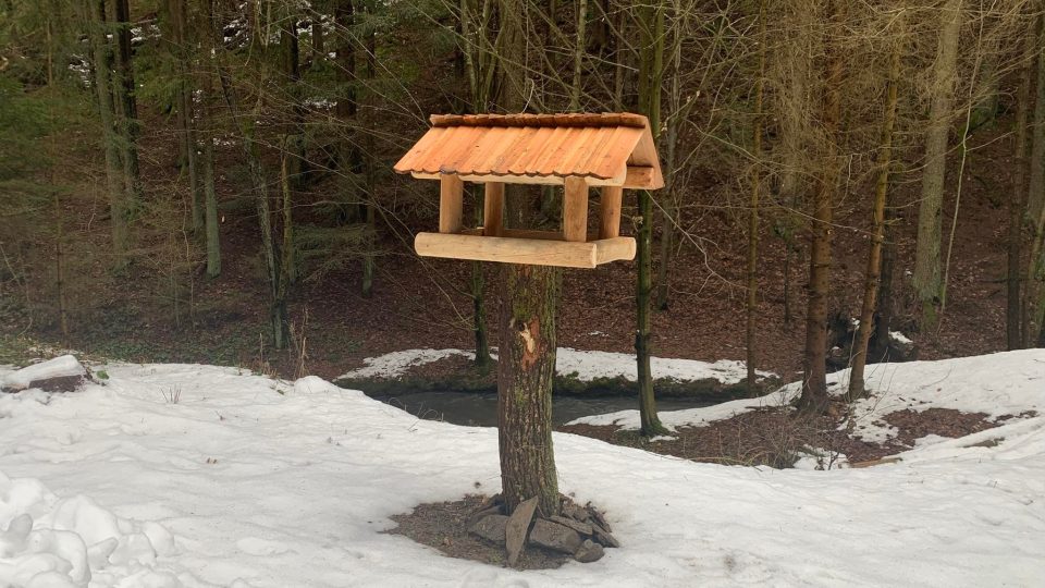 V Klopotovském údolí u Nového Města nad Metují na Náchodsku jsou nová krmítka pro ptáky