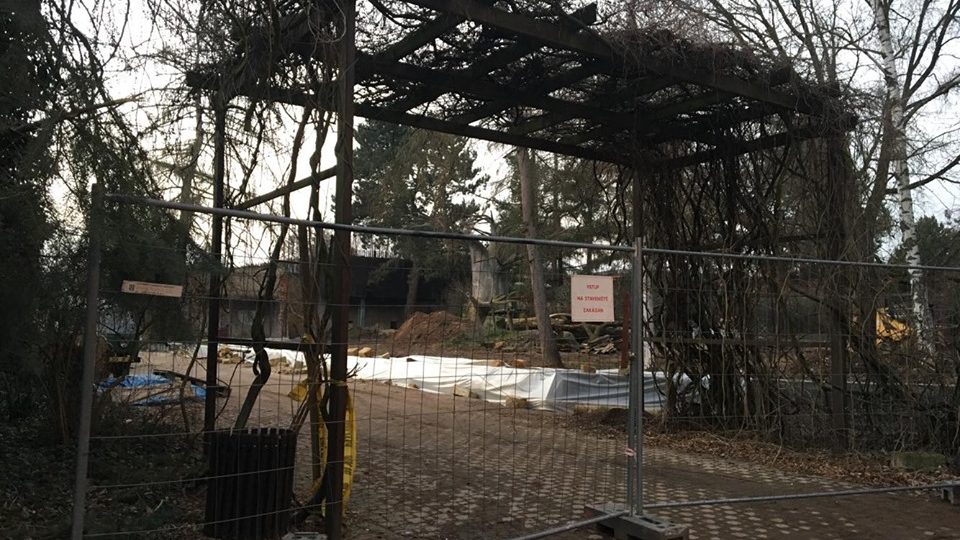 V Safari Parku Dvůr králové finišuje obnova pavilonu šelem