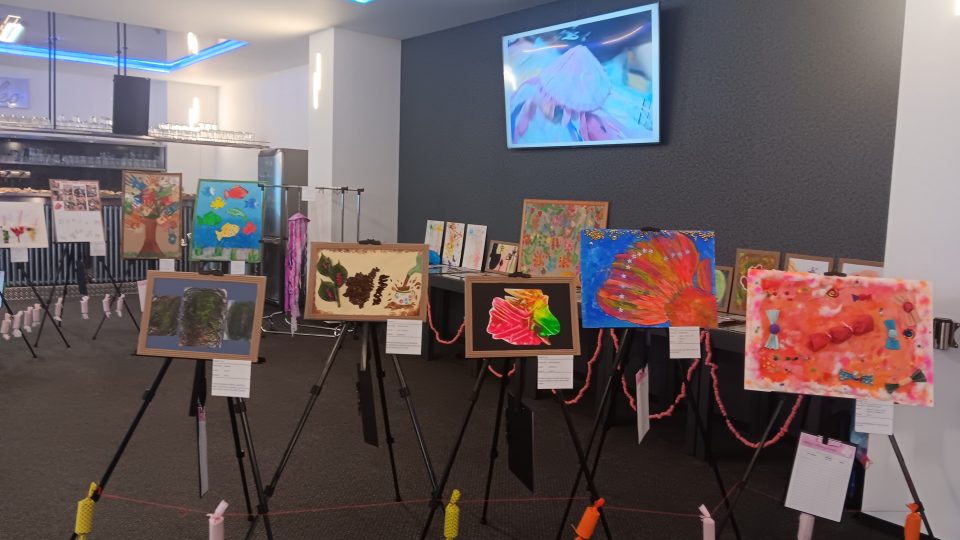 Obrazy vystavené k dražbě na oslavě 35. výročí Denního stacionáře Mateřídouška